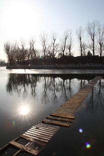 后海在线观看,沉浸式体验老北京风情画卷  第3张