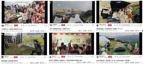 承德抖音爆料事件视频曝光,揭秘背后真相  第3张